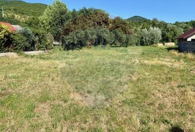 Teren Construcții intravilan de 3154 mp, în Bârsana - 4