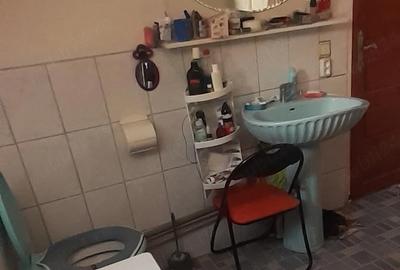 Casă cu 2 camere cu Teren 535 Mp în Domenii - 10