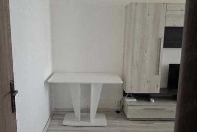 Garsonieră nedecomandată în Craiovița Nouă - 3