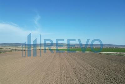 Teren de vanzare, Com. Nicolae Balcescu, Jud. Bacau - 5