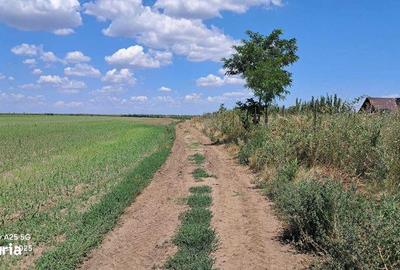 Teren de 1000 mp, în Vânători - 7