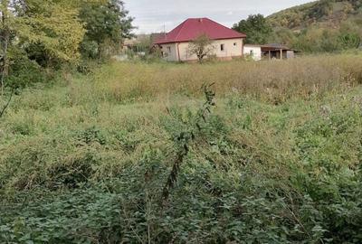 Casă cu 3 camere în Central