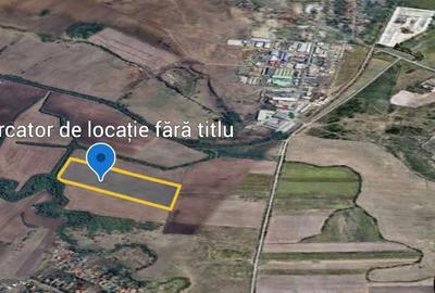 Teren de 60000 mp, în Cerneteaz - 1