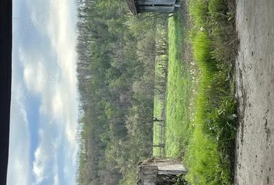 Casa cu cerdac ?i gradina mare teren 7217 mp . Curent trifazic Casa cu cerdac ?i gradina mare teren 7217 mp . Curent trifazic - 2