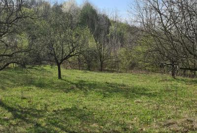 Spațiu comercial, în Șuici - 2