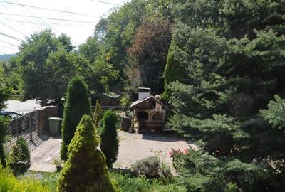 Busteni-Pensiune de vanzare - 4