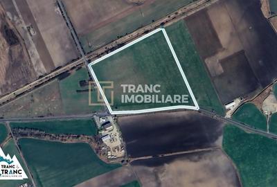 Teren agricol extravilan de 128500 mp, în Vest - 2