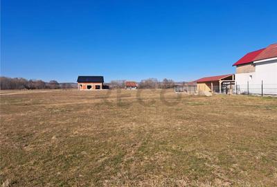 RECO teren intravilan Sabolciu - 2