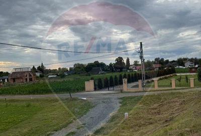 Teren intravilan de vanzare in Catalina, langa Han, ... - 3