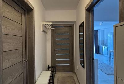 Apartament cu 2 camere decomandat în Turnișor - 9