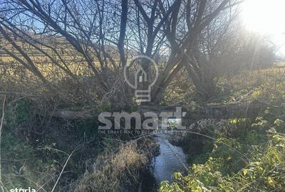 Spațiu comercial, în Petrești - 7