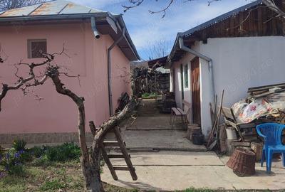 Vanzare casa curte sat Padureni com Jaristea Foc?ani - 2