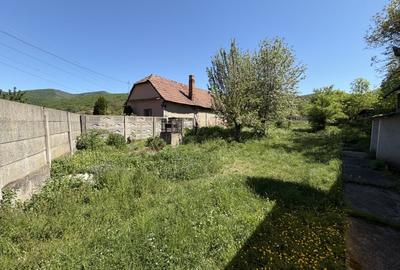 Casă individuală cu 2 camere cu Teren 975 Mp în Tăuți - 11