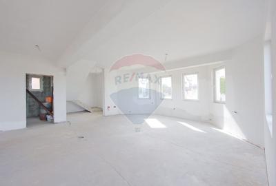 Casa cu 5 camere si 482 mp teren, de vanzare in Paleu - 8