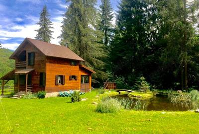 Casa din grinzi pe marginea paraului Borzont - 1