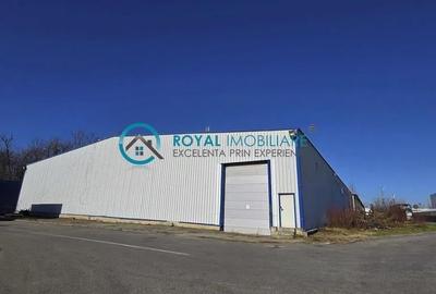Royal Imobiliare - Inchiriere spatiu industrial zona Exterior Vest - 2