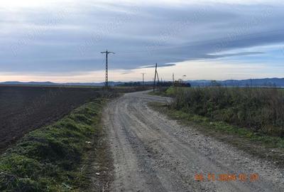 Teren de 260000 mp, în Exterior Vest - 1