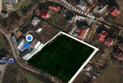 Teren de 4860 mp, în Bucium - 1