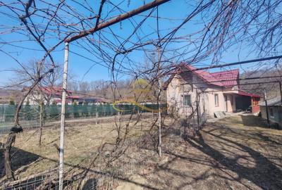 Casă individuală cu 2 camere cu Canalizare în Parava - 21