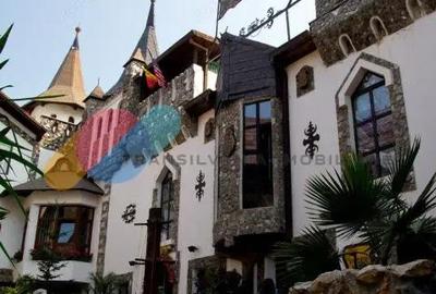 Exclusivitate ?i Istorie - Castelul Printul Vanator din Turda - 3