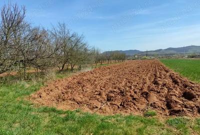 Casă cu 5 camere în Jibou - 2