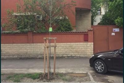 Duplex cu 5 camere cu Teren 264 Mp în Cotroceni - 2