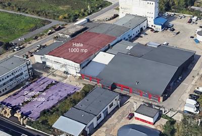 Propietar inchiriez hala 1000 mp, 3€/mp + TVA, Baia Mare - 6