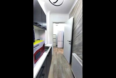 Apartament cu 2 camere semidecomandat, mobilat în Viziru 1 - 10