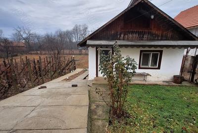 Casă cu 2 camere în Prigoria - 2
