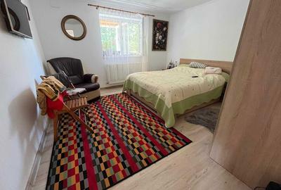 Casă cu 2 camere în Bistrița Nouă - 3