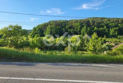 Teren Construcții intravilan de 7797 mp, în Podiș - 1