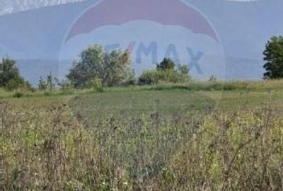 Teren Construcții intravilan de 960 mp, în Șercaia - 1