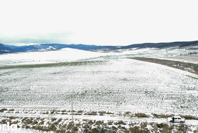 Teren de 4800 mp, în Ciritei - 2