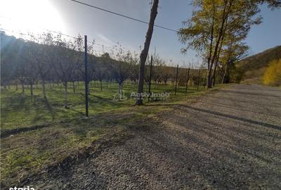 Spațiu comercial, în Slatina-Nera - 4