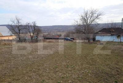 Teren intravilan 3712 mp + 2600 mp extravilan in Dobrovat - 1