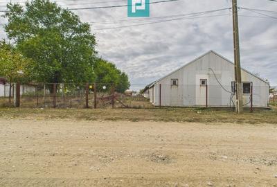 Spațiu industrial, de 765 mp, în Variaș - 19