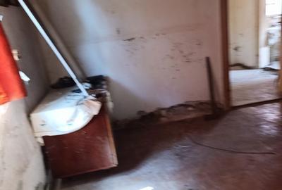 Casă cu 2 camere în Betfia - 5