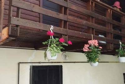 Casă cu 11 camere cu Teren 1560 Mp în Moieciu - 6