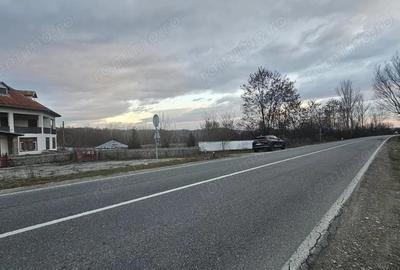 Pensiune in Comuna Alimpe?ti, deschidere la DN - 3