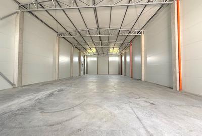 Hală de închiriat – Calea Șagului, Timișoara - 1