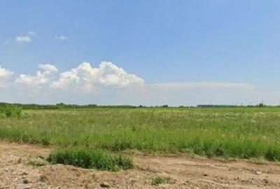 Teren Costestii din Vale, ID: R2582235 - 11