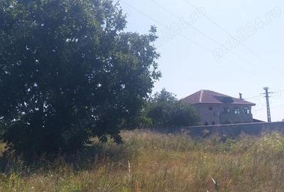 Teren de 15000 mp, în Vernești - 6