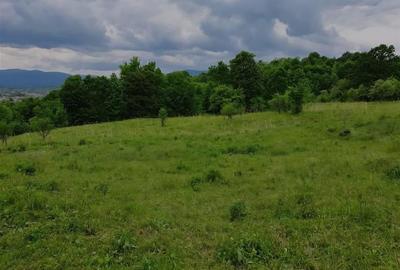 TEREN DE VANZARE PENTRU INVESTITII IN MANASTIREA CASIN TEREN DE VANZARE PENTRU INVESTITII IN MANASTIREA CASIN - 4