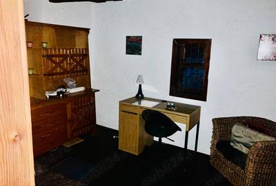 Casă cu 2 camere cu Teren 1500 Mp în Brazii - 2