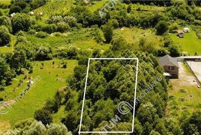 Teren de vanzare pe Valea Avrigului Sibiu - 4