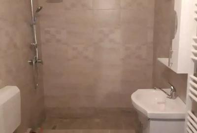 Casa P+E de vanzare in Ineu, jude?ul Arad - 4