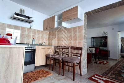 Casa de vanzare in Ineu formata din 2 cladiri - 30