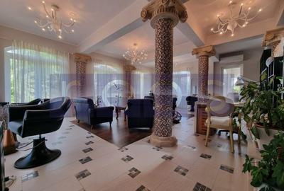 INCHIRIERE SPATIU COMERCIAL-2 VILE | ZONA MOGOSOAIA - 3