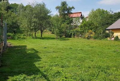 Teren intravilan in Breaza-- 2017 mp--50.000e Teren intravilan in Breaza-- 2017 mp--50.000e - 5