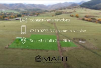 Teren  extravilan 2500 mp in Orlat - 6